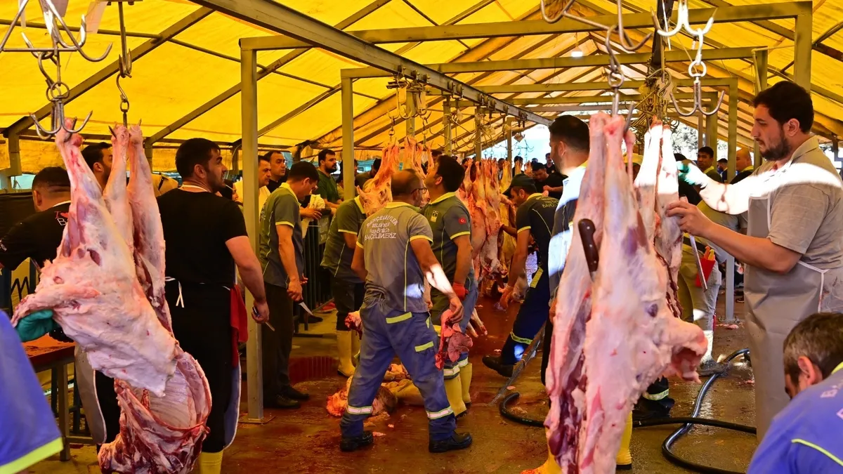 Kurban Bayramı’nın ikinci günü fiyatlar yüzde 30 düştü Kurban Bayramı’nın ikinci günü fiyatlar yüzde 30 düştü