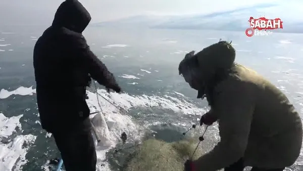 Balıkçılar Çıldır Gölü'nde eksi 20 derecede, Eskimo usulü balık avlıyor | Video