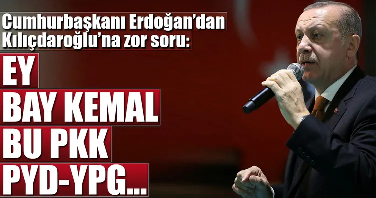 PKK ve PYD-YPG terör örgütü müdür?