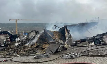 Çok sayıda hayvan telef oldu