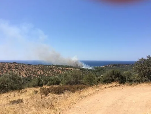 Çanakkale’de orman yangınına havadan müdahale ediliyor