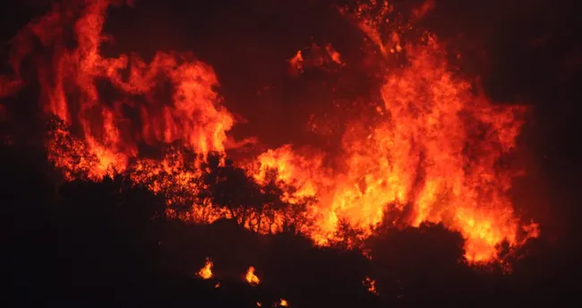SON DAKİKA: Söke'de gece görüşlü helikopterler müdahaleye başladı -
