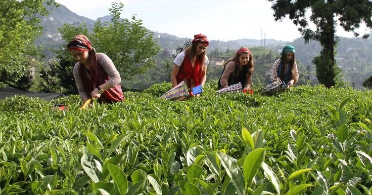 Çay zammı geri alındı