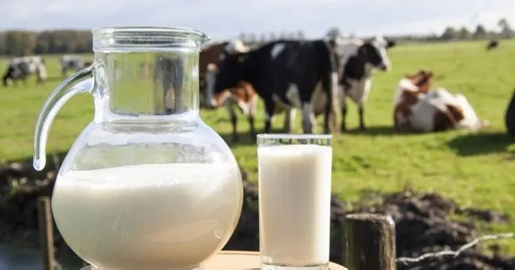 Sütün faydaları nelerdir? Süt içmenin sağlığa yararları…