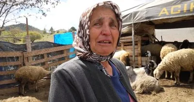 Tek tek isim verdiği hayvanlarını kurt yok etti, kadın gözyaşlarını tutamadı!