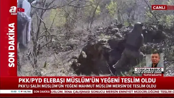 Son dakika: Terör örgütü teslim olmaya devam ediyor! PKK'lı Salih Müslüm'ün yeğeni... | Video