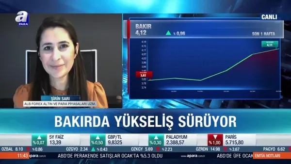 Şirin Sarı: Sanayi emtialarında yukarı yönlü bir eğilim var