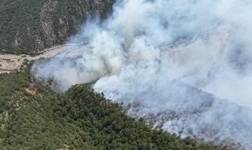 Karabük’te orman yangını