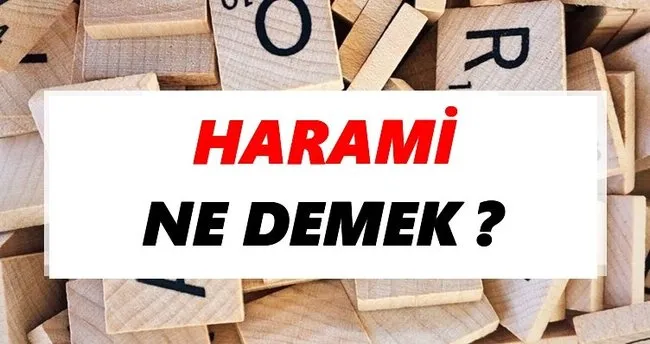 Harami Ne Demek? TDK’ya Göre Harami Sözlük Anlamı Nedir?