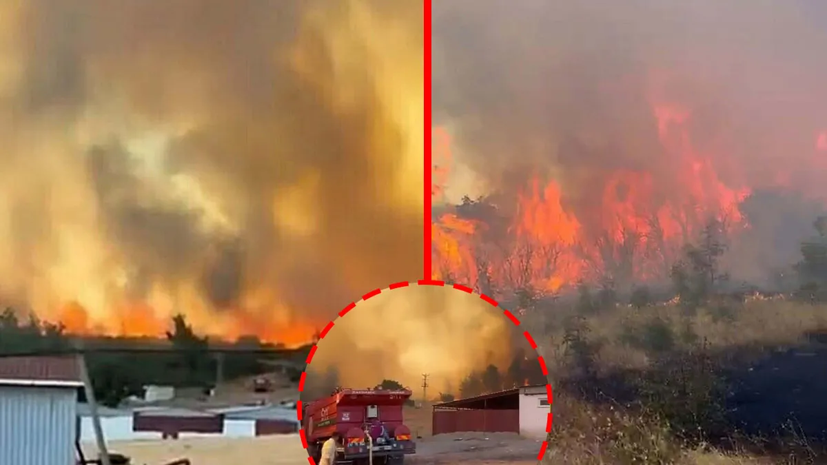 SON DAKİKA... Çanakkale’de korkutan orman yangını! Ekipler peş peşe geldi: Havadan ve karadan müdahale devam ediyor! haber görseli