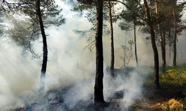 Tokat’taki orman yangını kontrol altına alındı! 3 hektarlık alan zarar gördü