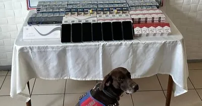 Ağrı'da binlerce paket kaçak sigara ele geçirildi #agri