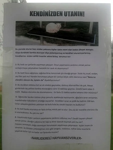 Durakta istenmeyen kedi için yazı astı, paylaşım rekoru kırdı