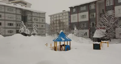 Bitlis’te kar yağışı etkisini arttırdı