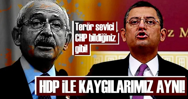 CHP’li Özel’den flaş HDP itirafı: Kaygılarımız ortak!