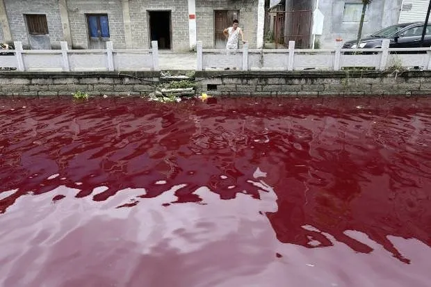 Çin’de su kirliliği mide bulandırıyor