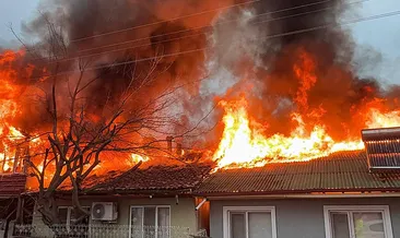 Kediler üşümesin diye yakılan soba faciaya dönüştü: İki ev küle döndü! #tokat