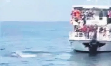 TÜGVA’yı basan CHP’li provokatör Maltepe’de kendini denize attı