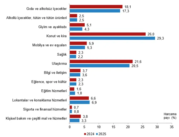 tuik-acikladi-hanehakinin-en-cok-harcama-yaptigi-kalemler-belli-oldu-1780384314995.png