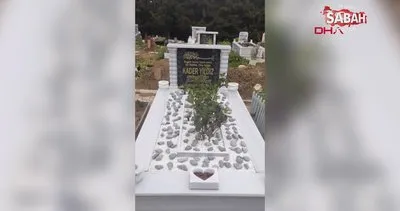 Kader’in annesinin isyanı: Mezarında bile rahat bırakmıyor | Video