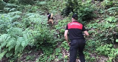 Kastamonu’da vatandaşlara ‘Mantarı toplarken kaybolmayın’ uyarısı #kastamonu