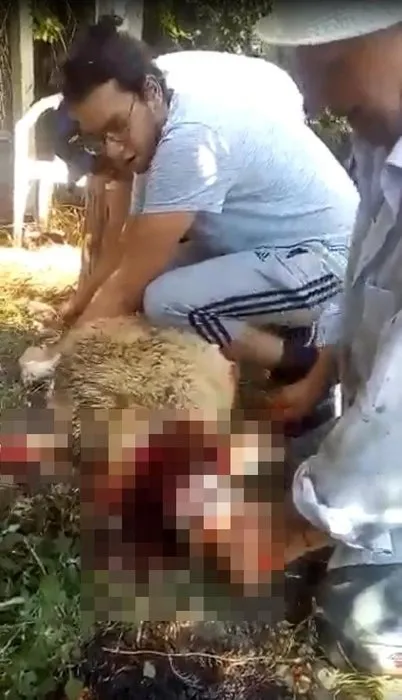 Ankara''da Onur Alp Eker talihsiz bir şekilde öldü! Arkadaşının iddiaları dehşete düşürdü: Bu pozisyonda kendisi düşemez