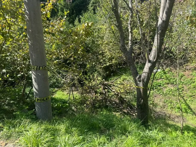 Zonguldak’ta kan donduran olay: Yaşlı kadını domuz zannederek öldürdü!