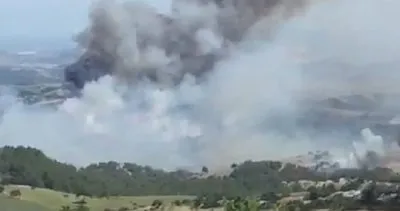 Tarsus’ta orman yangını