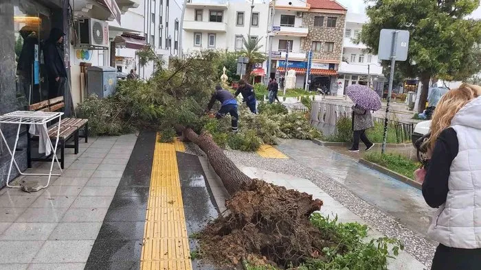 mugla datca haberleri mugla datca ilcesi son dakika gelismeleri mugla datca haberleri mugla datca ilcesi son dakika gelismeleri