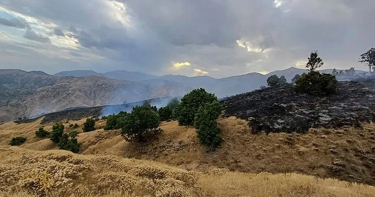 Bingöl’deki orman yangını kotnrol altında