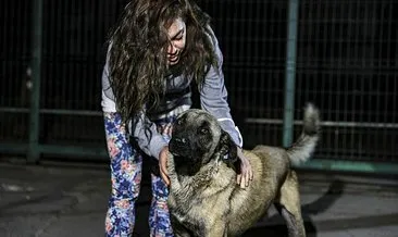 Çankaya Belediyesi’nin köpekleri ölüme terk etmeye çalıştığı iddiası hayvenseverleri harekete geçirdi