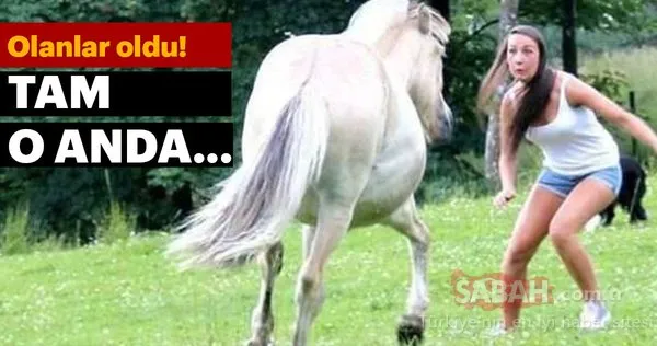 Zamanlaması harika!