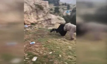 Arkadaşı 20 metreden düşerken videoya çekti!