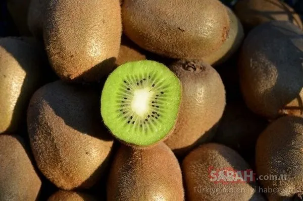 Nikotini vücuttan temizlemenin yolları