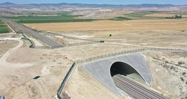 Çanakkale’ye yeşil koridor! Bakan Uraloğlu: Sayıları artacak