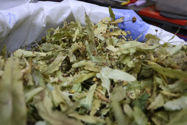 Son dakika: Coronavirüse karşı koruyor iddiası kına satışlarını arttırdı!