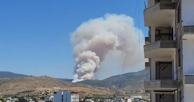 Hatay'da orman yangını! Ekiplerin müdahalesi sürüyor