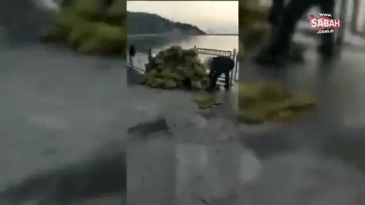 Kaçak avladıkları 150 çuval midye ile yakalandılar! | Video