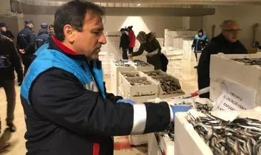 Marmara Denizi’nde yapılan denetimlerde 53 ton balığa el konuldu