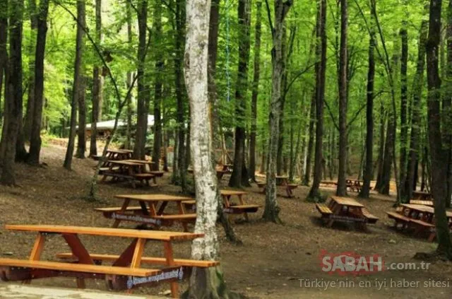 İstanbul’da piknik yapılabilecek 10 mesire alan...