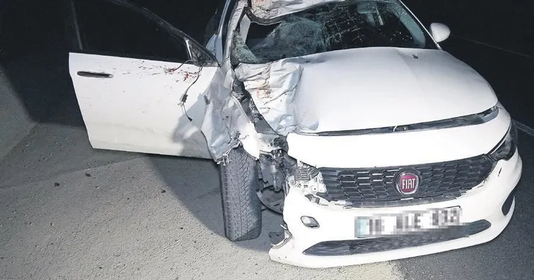 Kaçan 6 Arap tayı kazada telef oldu