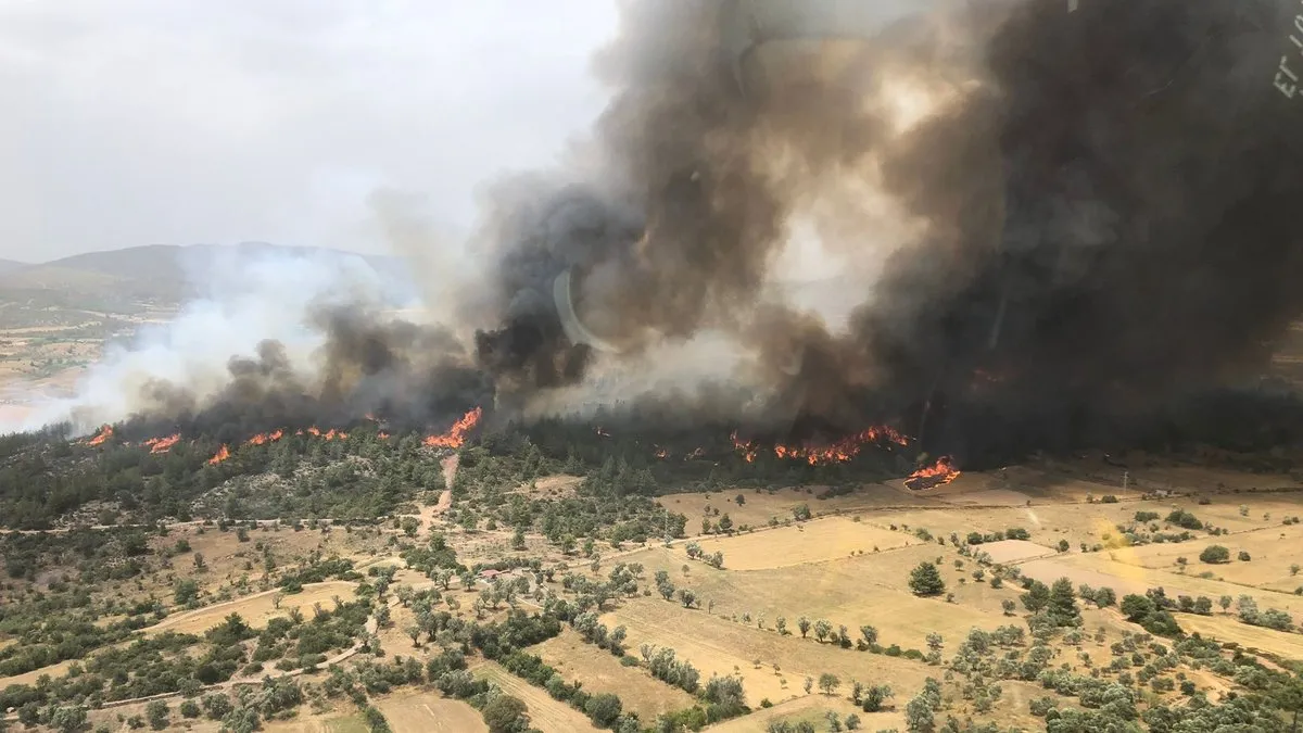 SON DAKİKA: 3 ilde orman yangını! Rüzgarın etkisiyle büyüyor