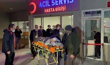 Erzincan’da köpeklerin saldırısına uğrayan çocuk ağır yaralandı