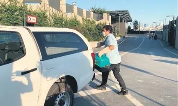 Yaralı yavru kedi hayata böyle tutundu