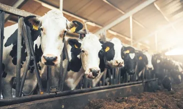 Ette tedbir var fiyat artışı yok