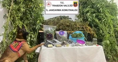 Trabzon’da uyuşturucu operasyonu:1 kişi tutuklandı