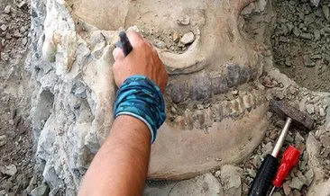 Çankırı’daki fosil kazıları kitap oluyor