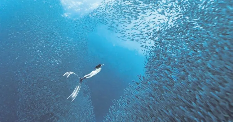 En güzel fotoğrafları ‘Keşfet’tiler