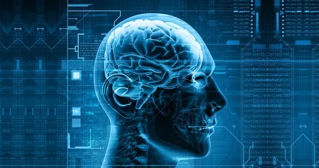 temporal lob epilepsi hastaligi nedir