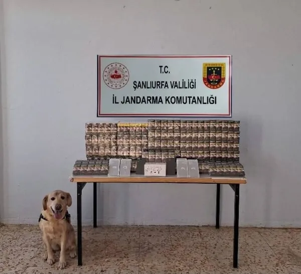 sanliurfada-binlerce-kacak-sigara-ele-gecirildi-1762358098196.jpg
